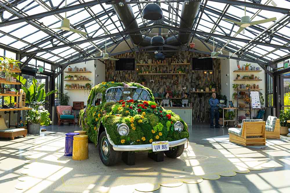 wedding venues in the bay area