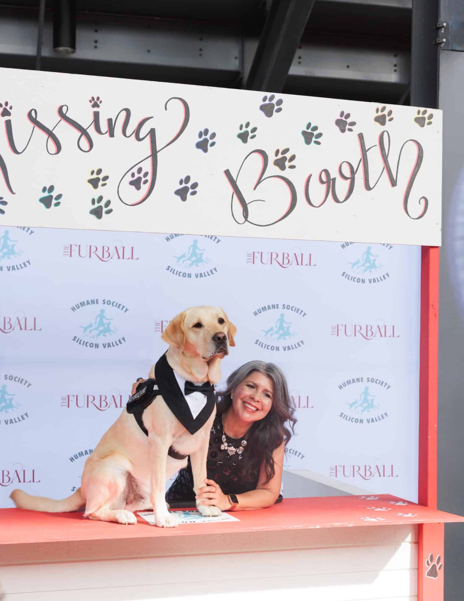 Yellow labrador with a balck vest sitting at a kissing booth with w woman smiling